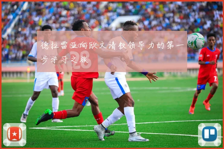 德拉雷亚向欧文请教领导力的第一步学习之旅