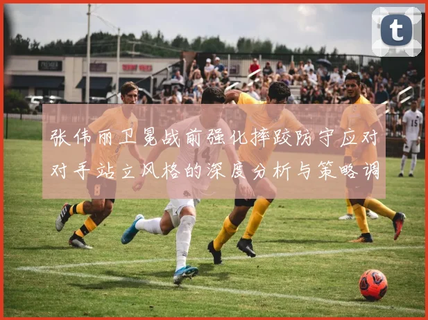 张伟丽卫冕战前强化摔跤防守应对对手站立风格的深度分析与策略调整
